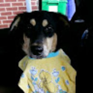 Meet your Posher, Jacqueline